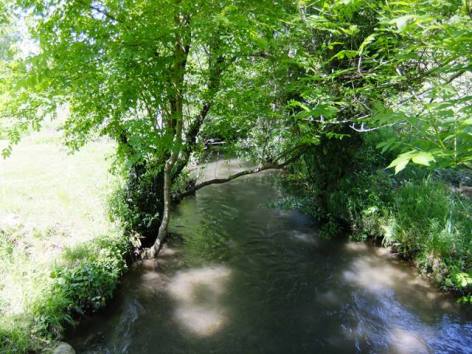 5-DUMONT-LES-GITES-DE-LA-SARE--12-.JPG