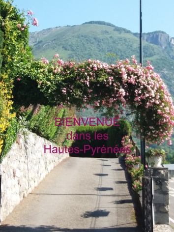 5-SIT-Marque-Appt-45-Hautes-Pyrenees--4-.jpg