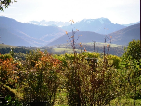 6-Image2-8.jpg