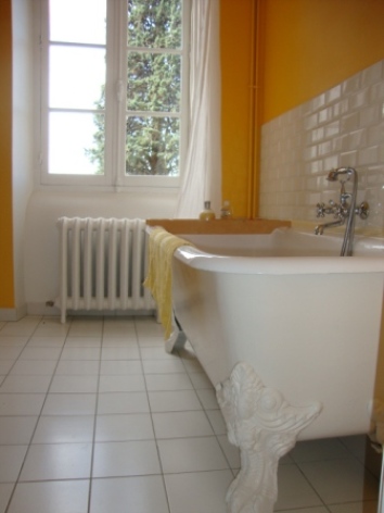 4-abouchar-salledebains-chb-tourterelle.JPG