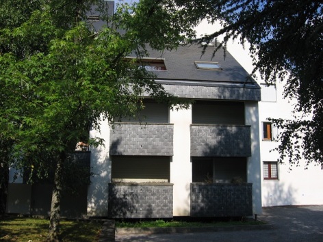 0-PALOS-A-web.jpg