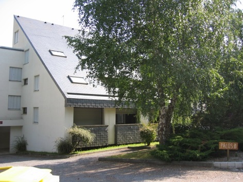 1-PALOS-B-web.jpg