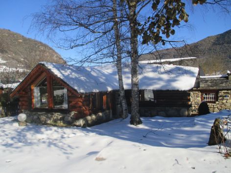 0-menthes-sauvages.JPG