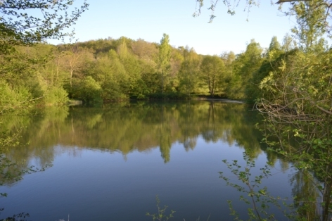 4-Lac.N.JPG