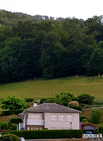 9-ATGV1--Gite-au-RDC-de-la-Maison-en-2023--cadre-de-verdure.jpg