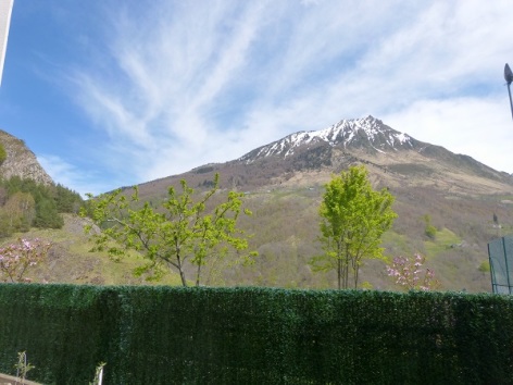 8-P1060157.JPG