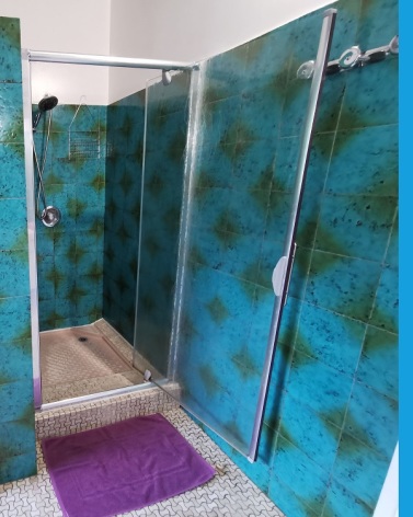 13-Pivoine-salledebain-douche.jpg