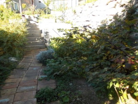 7-jardin-48.jpg