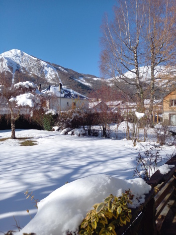 9-gentiane-hiver-devant.jpg