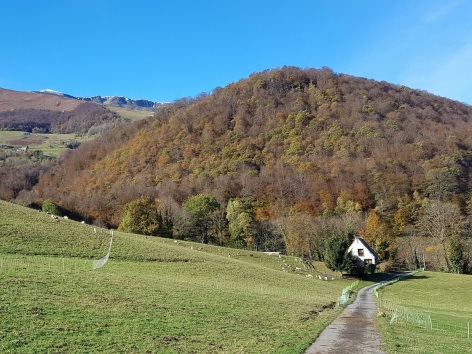 34-Gite-Le-Carot---Photo--01--2.jpg