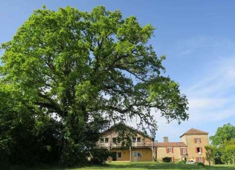 1-AU-MANOT-2019.JPG