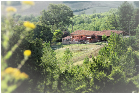 3-Exterieur---Les-vieux-chenes.jpg