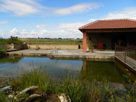 14-Pigeonnier-piscine-Monlezun---Daussat-Daure.jpg