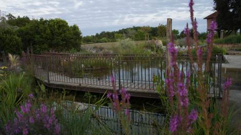 9-Pigeonnier-parc-Monlezun---Daussat-Daure.jpg