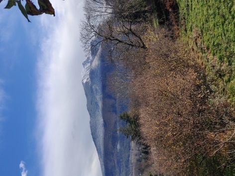 2-IMG-20201204-122338.jpg