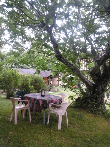 9-AppeldelaForet-ext--9-.jpg