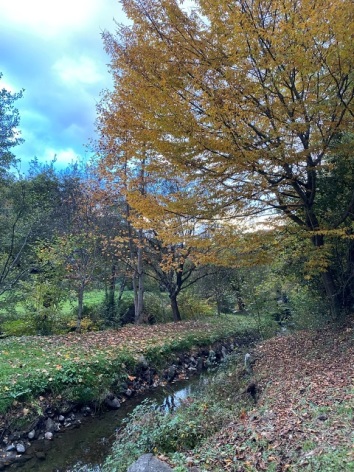9-CHEMIN-2.jpeg