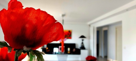 4-Fleur-salon-gite-Gimet-Aurensan--CSO-2.jpg