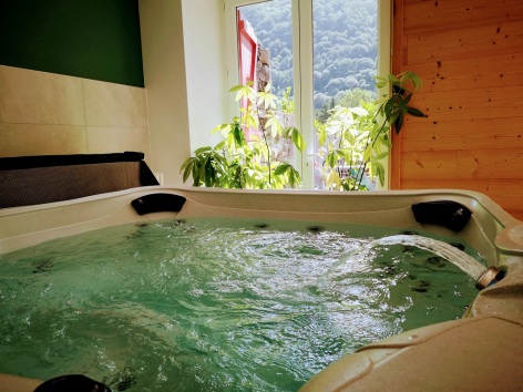 12-HPCH147---LE-RELAIS-D-AVAJAN---Jacuzzi.jpg