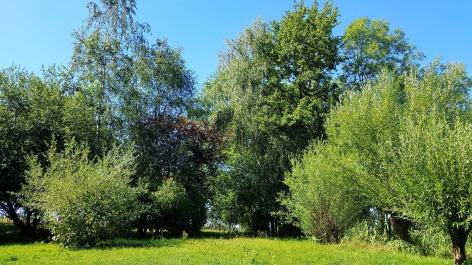 7-parc-2-2.jpg