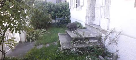 1-jardin-photo-1.jpg