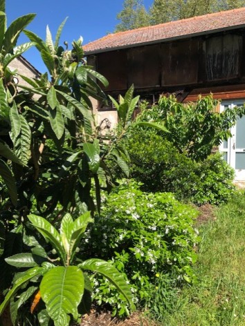 19-Facade-forge---Eau-vive.jpg