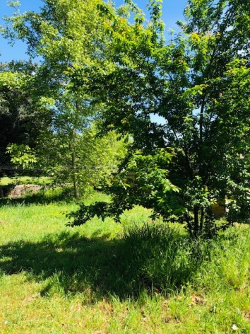 20-Jardin---Eau-vive.jpg