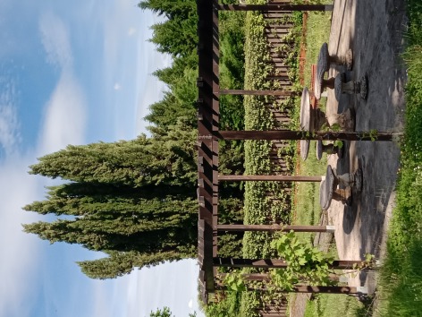 10-Jardin---Camps.jpg