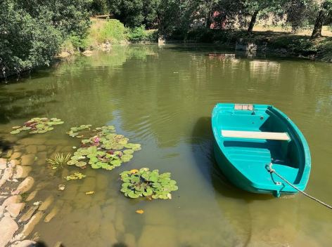 22-Etang-barque--Chateau-de-Seailles.JPG