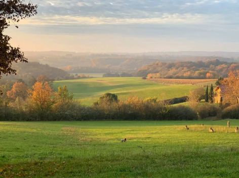 25-Paysage-automne---Chateau-de-Seailles.JPG
