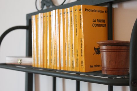 10-Livres-salon-deco-gite-Gers--CSO.JPG