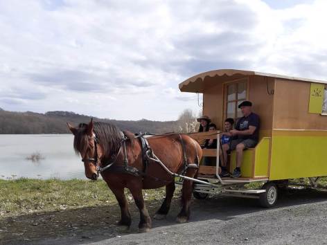 1-roulotte-hippomobile-bassillon-vauze---bettlocq.jpg