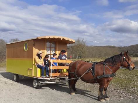 7-Roulotte-et-caleche-bassillon-vauze---bettlocq.jpg