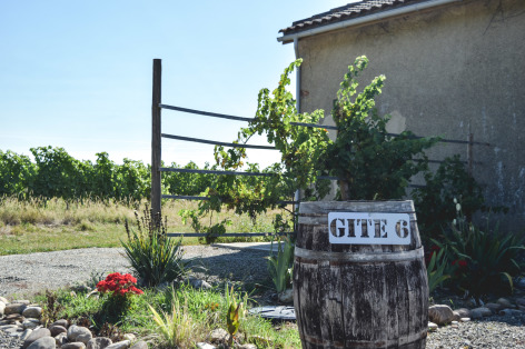 12-Barrique-vigne---Prielle-atelier.jpg