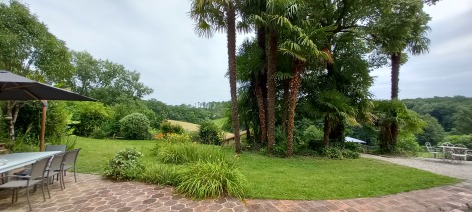 26-Vegetation-Courties---Domaine-Tipaut.jpg