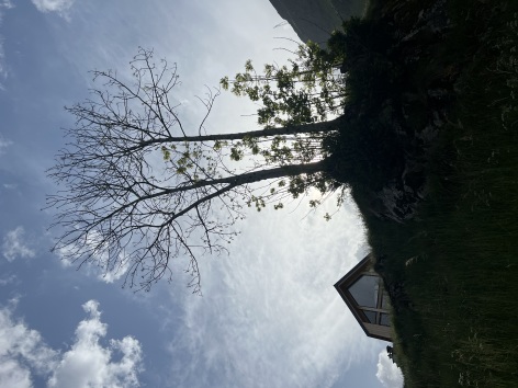 49-IMG-4455.jpeg