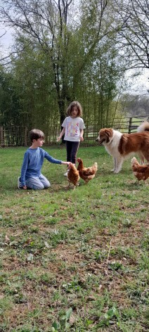 7-Animaux---Domaine-Calabel-4.jpg
