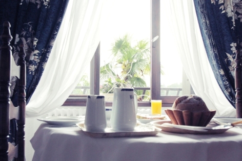 0-tablepetitdejeuner-hotelbeausite-argelesgazost-HautesPyrenees.jpg.jpg