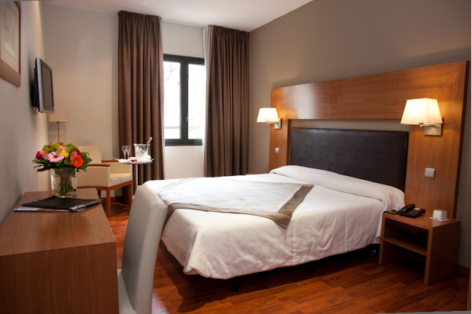 2-HPH156---HOTEL-ALTI---LUCHON---Chambre-Standard-2.PNG