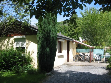 20-Bassia.JPG