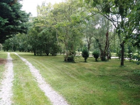 3-camping-oasis-6-web.jpg