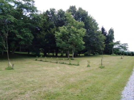 4-camping-oasis-5-web.jpg