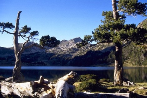 1-LAC-AUMAR-PIC-MADAMETTE.jpeg