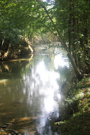 0-6-le-Louet.jpg