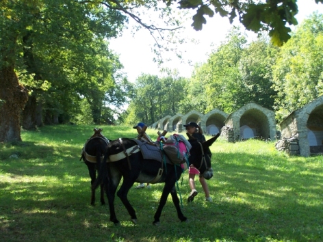 2-RANDONNEES-AVEC-ANES-HPTE-RANDONEO.jpg