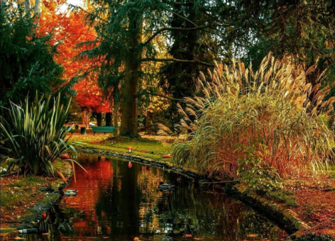 6-jardin-massey-automne.jpg