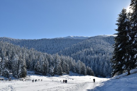 6-28012018-Hiver-Villes-et-villages-Payolle-OT12.JPG