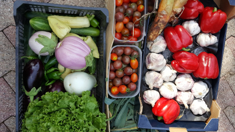 5-legumes-picdepan-arrensmarsous-HautesPyrenees.jpg