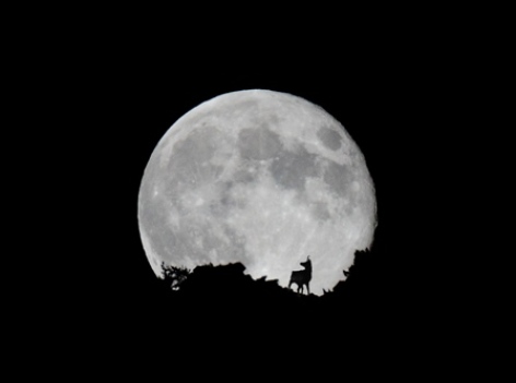 4-izard-lune.psd.jpg