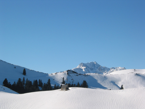 2-15-Nistos---Panorama-cabane.jpg
